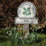 2017-02-24 L69A7418 Snowdrops on Midsummer Hill