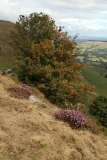 2018-08-25 5188 Rowan and Heather on Black Hill