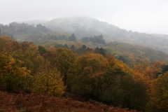 2018-11-06 6981 Black Hill and British Camp