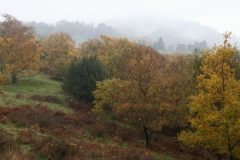 2018-11-06 6983 Black Hill and British Camp