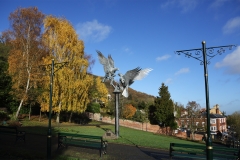 2018-11-12 7011 Buzzards in Rose Bank Gardens