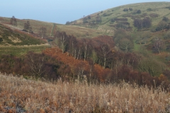 2018-11-22 7512 Autumn Colour below Sugarloaf and Table Hill