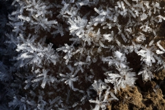 2018-02-23 Frost on Moss, South of the Wyche Cutting